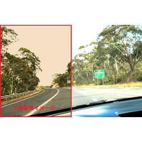 サングラス ブラック 男女兼用 ビビッドビジョン 10490 2個 トレードワン（直送品）