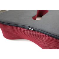 クッション　エルゴクッション　ワインレッド 20510 2個 トレードワン（直送品）