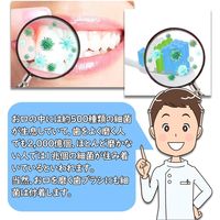 Tarutaru-ga 歯ブラシ除菌器ファン付き壁掛け型 ts-005 1台（直送品）