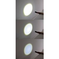 日動工業 LED懐中電灯 SL-20F-CH 1個