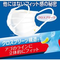 白元アース 快適ガードプロ プリーツマスク レギュラーサイズ 5枚入 58016-0 1袋（5枚入）
