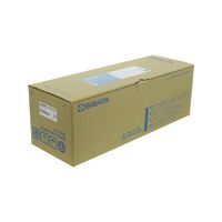柴田科学 メスフラスコ カスタムA 3L 1個 026050-30001（直送品）