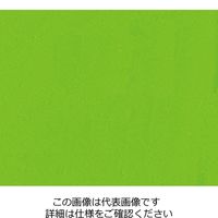 エスコ 20g 水性夜光ペイント(グリーン) EA942EV-23 1セット(10個)（直送品）