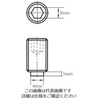 エスコ M6x10mm 六角穴付止ねじ(真鍮パッド/ステンレス) EA949DS-6 1セット(10個)（直送品）