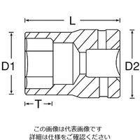 エスコ 3/8”DRx19mm ソケット EA617DJ-119 1セット(15個)（直送品）