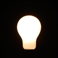 エスコ 100V/100W/E26 白熱電球(シリカ) EA758XK-107 1セット(15個)（直送品）