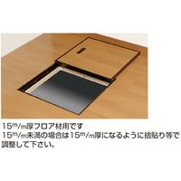 水上 一般床点検口 KYハウスハッチ NW300KY ニューホワイト 0837-00976 1台（直送品）