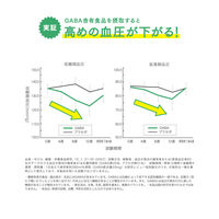 【機能性表示食品】からだおだやか茶W 350ml 1箱（24本入）