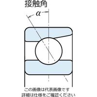 日本精工 単列アンギュラ玉軸受 7311CTP4 1個（直送品）
