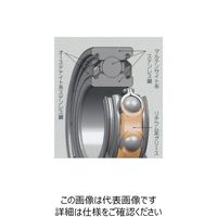 日本精工 ステンレス軸受 SS6002DDーT 1セット(4個)（直送品）