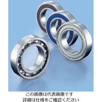 不二越 ベアリング 深溝玉軸受 両シールド形 6924ZZ 1個（直送品）