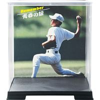 【アウトレット】ユニックス ヒーローボックス・ジーワン BB7736 1個