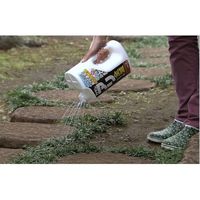 フマキラー カダン アリ全滅シャワー液 2L 2055780 1本