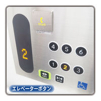 大協技研工業 抗菌・抗ウイルス粘着シート ウイルキング A4サイズ 1袋（5枚入）