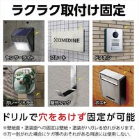 セメダイン スーパーXデュオ P13gセット AX-231 1個