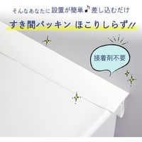 コモライフ すき間パッキン ほこりしらず 391259 1個