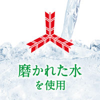 アサヒ飲料　三ツ矢サイダー　500ml　1セット（48本）