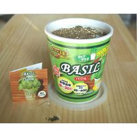 フォレスト カップサラダ水菜 1セット入 4582255218349 1個（直送品）