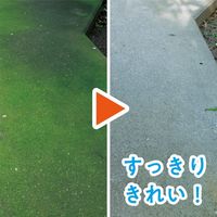 レインボー薬品 コケとーるシャワー 1.2L 4903471307042 1個