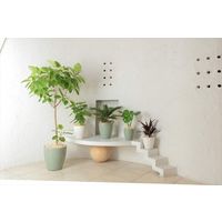 アップルウェアー ラスターポット265型 オリーブグリーン 4905980123205 1個（直送品）