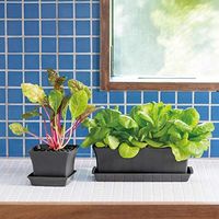 リッチェル ベビーリーフプランター40型N ダークグレー 4973655704622 1個（直送品）