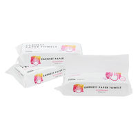 アスト アーネストペーパータオル小判200枚 111792 1箱(48パック)