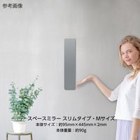 堀内鏡工業 鏡 安心・安全割れないミラー スリム・M SM-05 1個 4-1976-05（直送品）