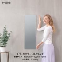 堀内鏡工業 鏡 安心・安全割れないミラー BIGサイズ SM-08 1個 4-1976-08（直送品）