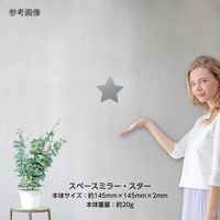 堀内鏡工業 鏡 安心・安全割れないミラー スター SM-07 1個 4-1976-07（直送品）