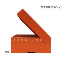 アズワン ヒンジ開閉フリーザーボックス(10×10) 青 5個入 R2700-B 1パック(5個) 4-1866-02（直送品）