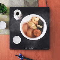 サンコー　Mサイズピザにも対応！「フードウォーマープレートミニ」（直送品）