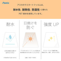 アスカ ラミネートフィルム UVカット仕様 A3 100枚 F4004 1箱