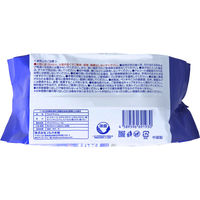 ウェットティッシュ 除菌シート iiもの本舗 清潔習慣 アルコールタイプ 除菌ウェットティシュ（詰替100枚入）1セット（36個）