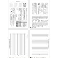 デザインフィル きれいな手紙が万年筆で書ける便箋 無罫A 50枚入 20519006 1セット(2冊)