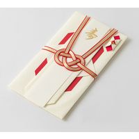 デザインフィル 金封 結婚祝 折形 菱形 1枚入（中袋付） 赤 25491006 1セット（2個）