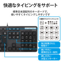 エレコム 有線キーボード/薄型/メンブレン式/抗菌/フルサイズ/ブラック TK-FCM108KBK 1個（直送品）