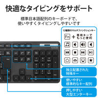 ワイヤレスキーボード マウスセット 無線 フルサイズ 薄型 抗菌 メンブレン ブラック TK-FDM110MKBK エレコム 1個（直送品）