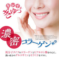 低分子ヒアルロン酸コラーゲン 1セット（30日分×3） 540g オリヒロ サプリメント