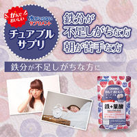 かんでおいしいチュアブルサプリ 鉄+葉酸 1セット（30日分×3） 360粒 オリヒロ サプリメント