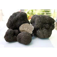 Dolce Vita 黒トリュフソルト 25g トリュフ塩