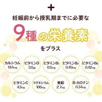 Mama Lula (ママルラ) 葉酸&鉄プラス 約30日分[FANCL 葉酸 鉄 サプリメント サプリ 妊娠中 女性用サプリ マタニティ]