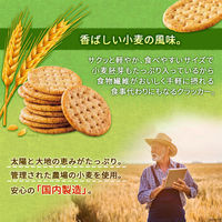 森永製菓 小麦胚芽のクラッカー 2箱　食物繊維　鉄分　ビタミンE