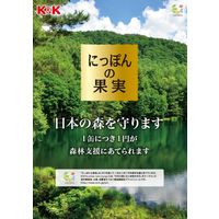 国分グループ本社 KK にっぽんの果実 青森県産 りんご（ふじ） 1個