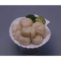 いなば食品 ほたて貝柱水煮割肉 1セット（3缶）