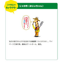カルビー 66gじゃがりこじゃがバターLサイズ 57895 1セット(6個)