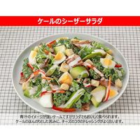 キユーピー シーザーサラダドレッシング 380ml  55713 1本