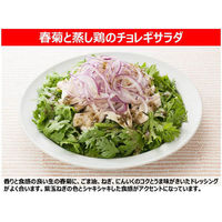 キユーピー　チョレギサラダドレッシング　１８０ＭＬ　55991　2本