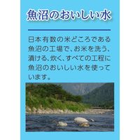 テーブルマーク　麦ごはん 160g　1セット（24食：3食入×8個）　包装米飯 パックごはん