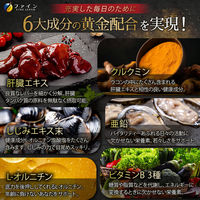 ファイン　金のしじみウコン 肝臓エキス 90粒　1セット（2袋）　サプリメント