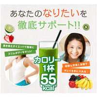 ファイン　グリーンモーニングスムージー 200g　1セット（2袋）　スムージー